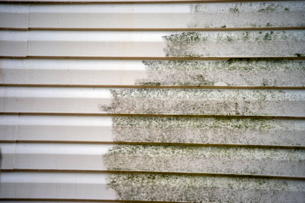 Reliable Rumson, NJ Siding Solutions